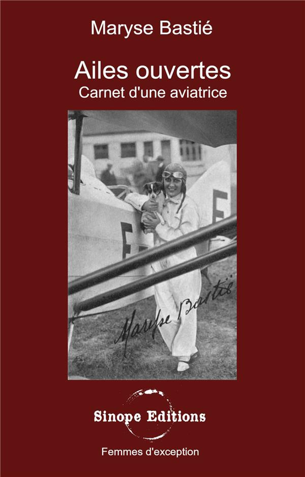 Ailes ouvertes. Carnet d'une aviatrice