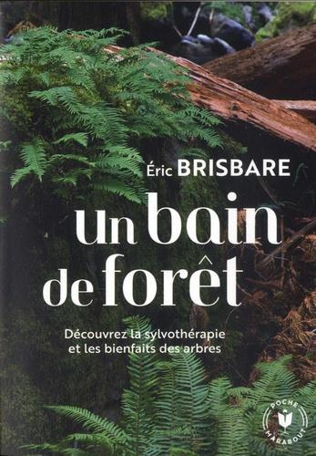 Un bain de forêt. Découvrez le pouvoir de la sylvothérapie