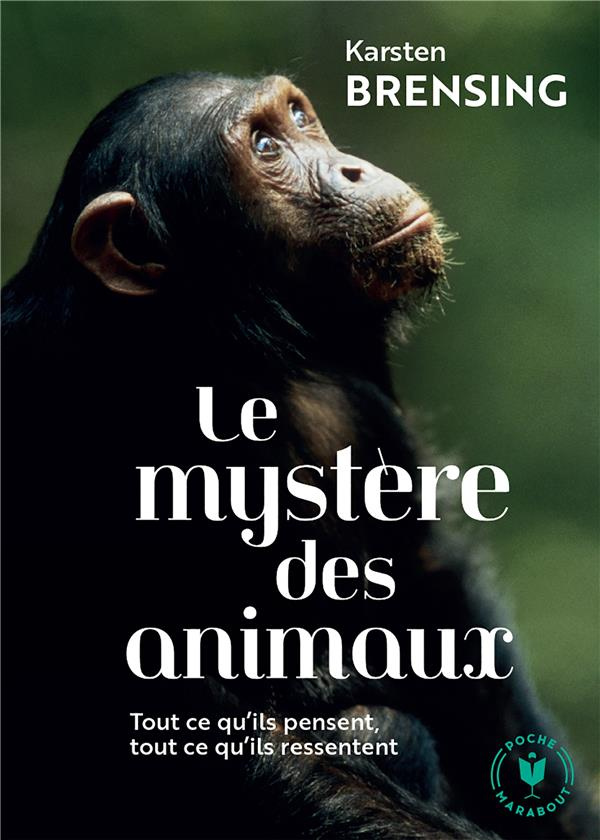 Le mystère des animaux