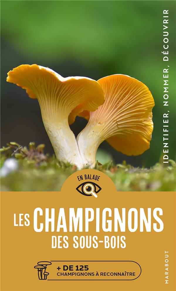 Les champignons des sous bois.   de 125 champignons à reconnaître