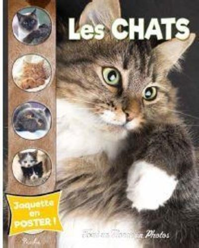 Les chats