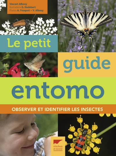 Le Petit Guide d'entomo. Observer et identifier les insectes