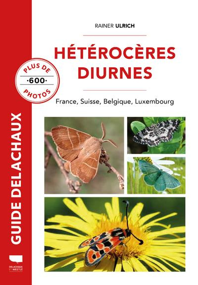 Hétérocères diurnes