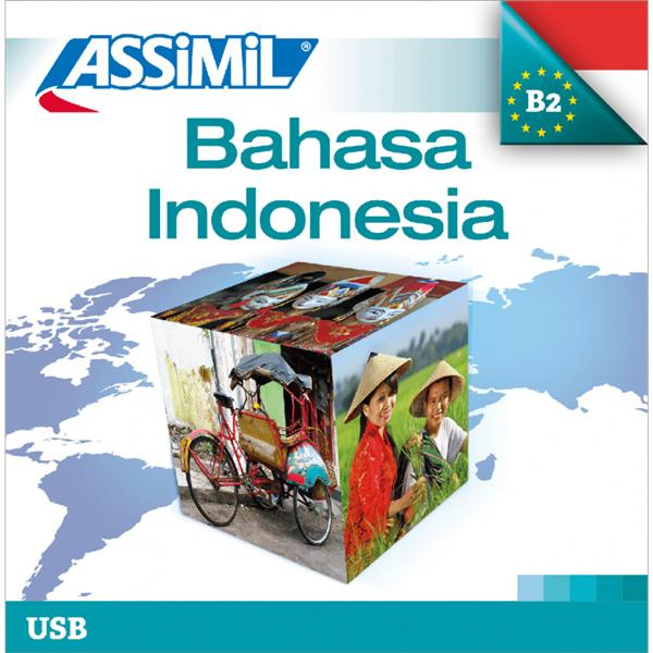 Bahasa indonesia (usb mp3 indonésien)