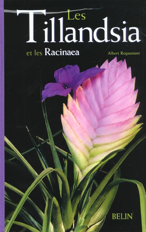 Les Tillandsia et les Racinaea