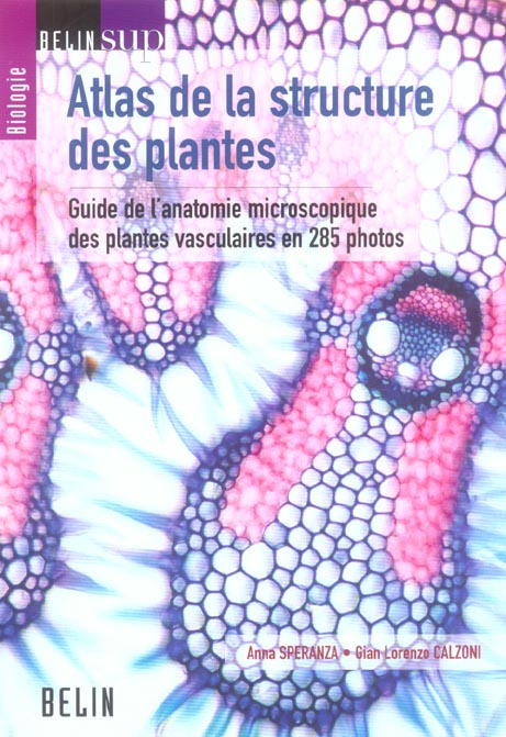 Atlas de la structure des plantes. Guide de l'anatomie microscopique des plantes vasculaires en 285