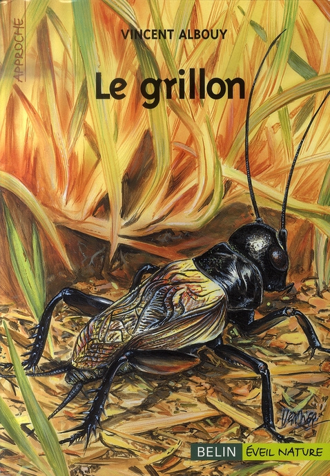Le grillon