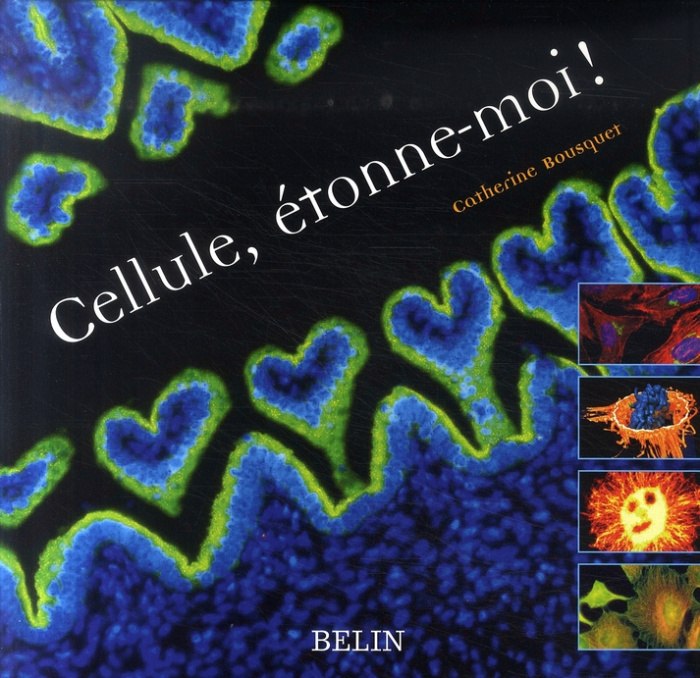 Cellule, étonne-moi !