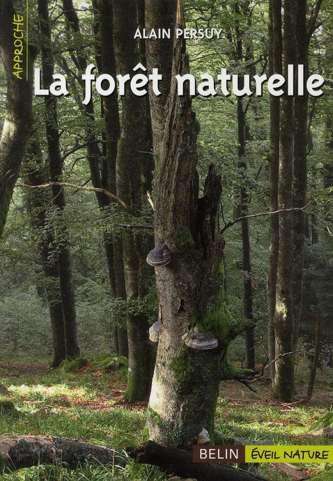 La forêt naturelle