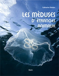 Les méduses ces étranges animaux