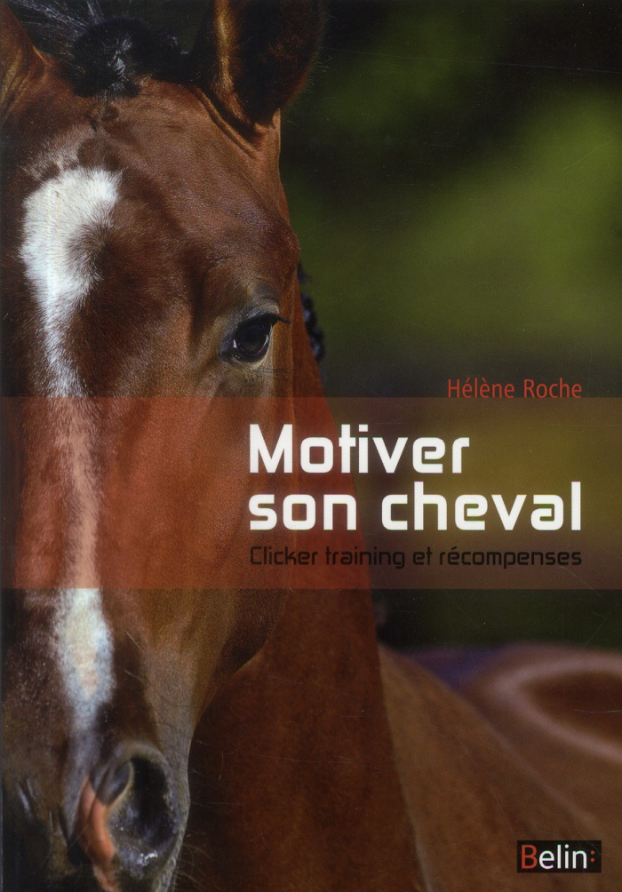 Motiver son cheval - clicker et récompenses