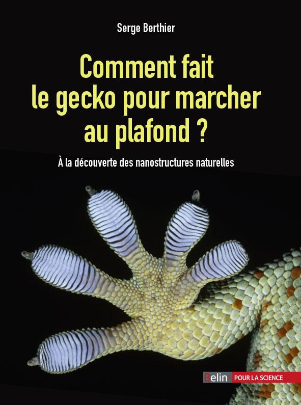 Comment fait le gecko pour marcher au plafond ? A la découverte des nanostructures naturelles