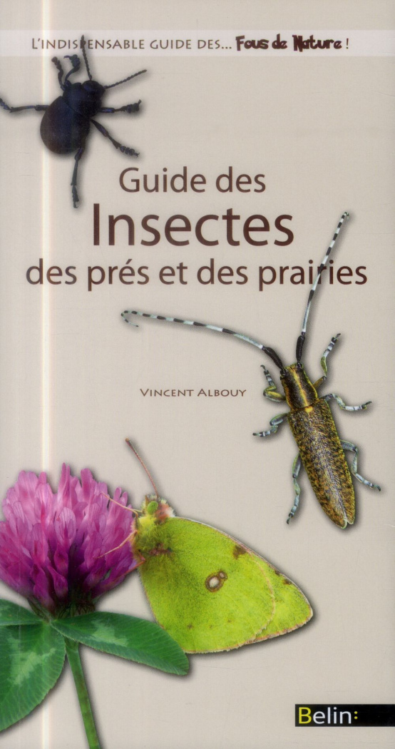 Guide des insectes des prés et des prairies