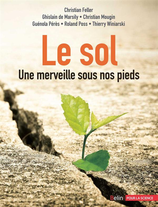 Le sol. Une merveille sous nos pieds