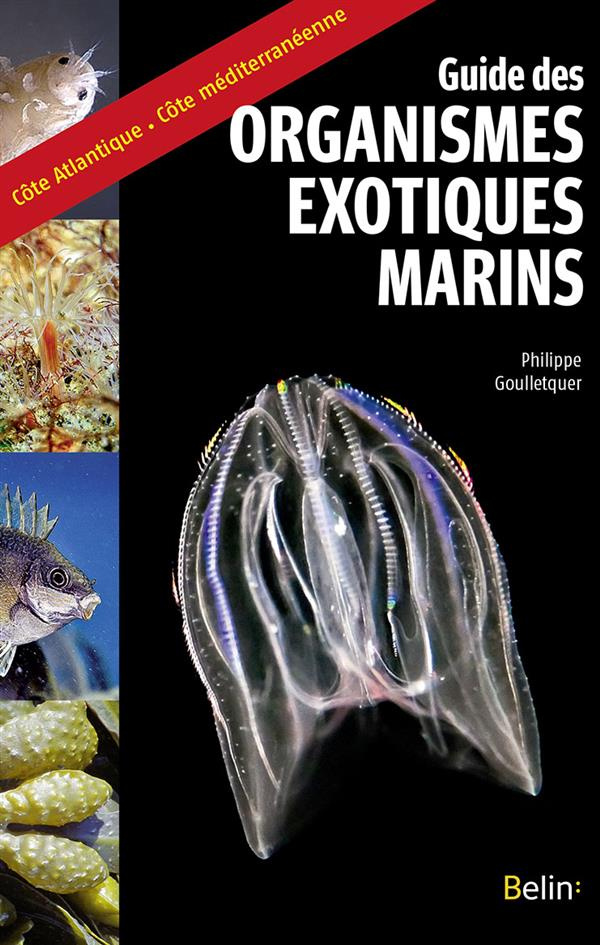 Guide des organismes exotiques marins
