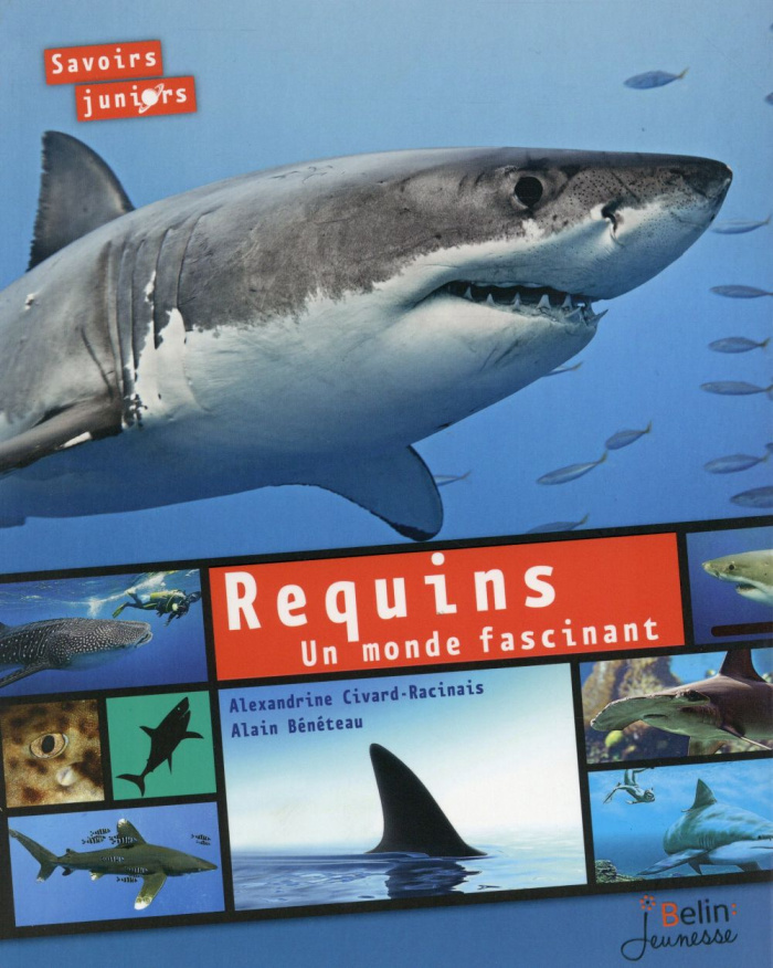 Requins. Un monde fascinant