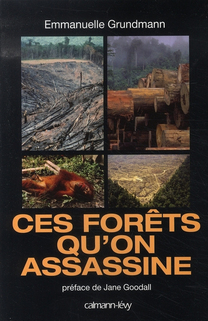 Ces forêts qu'on assassine