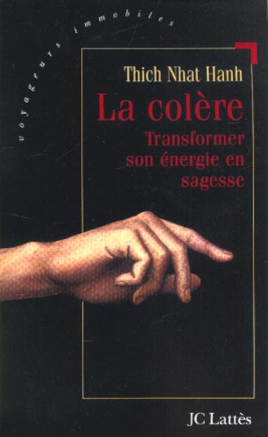 La colère. Transformer son énergie en sagesse