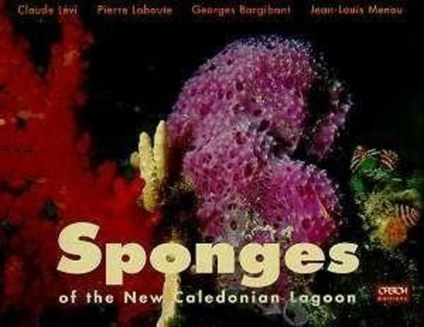 Sponges of the New Caledonian lagoon