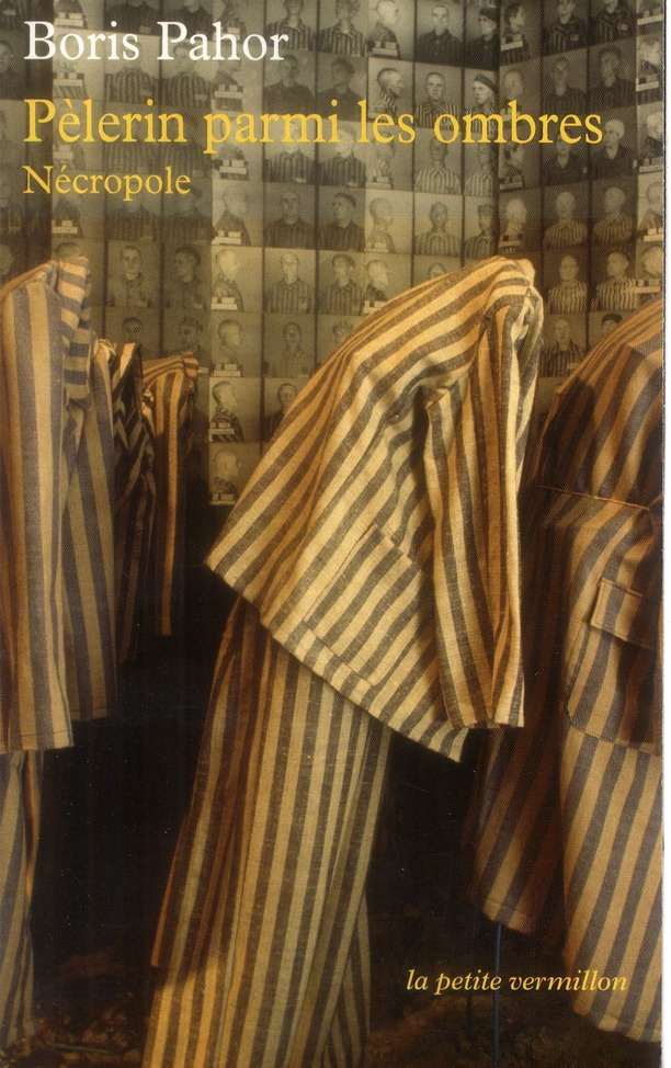 Pèlerin parmi les ombres