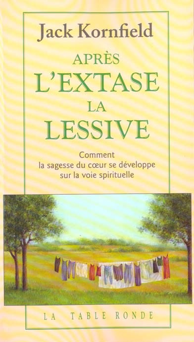 Après l'extase, la lessive. Comment la sagesse du coeur se développe sur la voie spirituelle