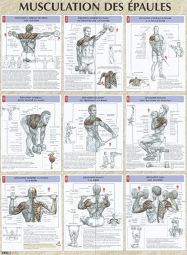 Musculation des épaules. Poster 80x60 cm