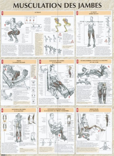 Musculation des jambes. Poster