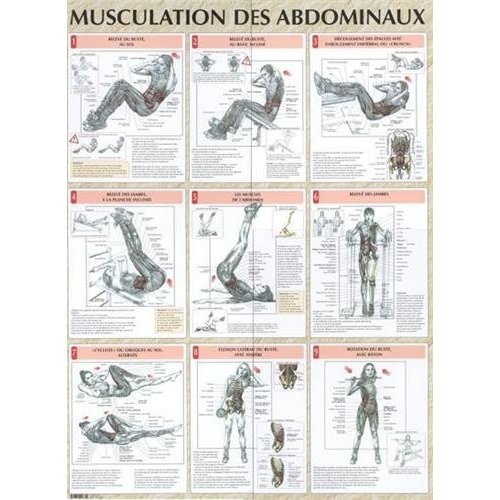 Musculation des abdominaux. Poster