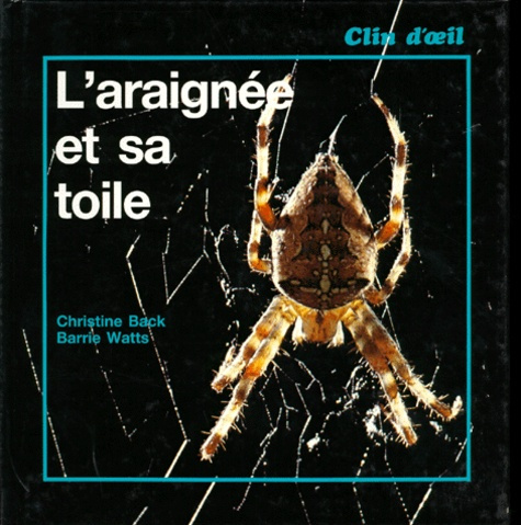 L'araignée et sa toile