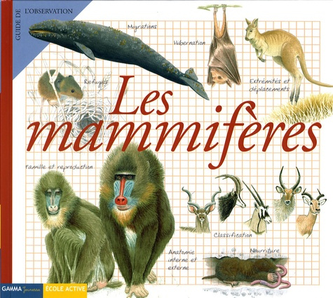 Les mammifères