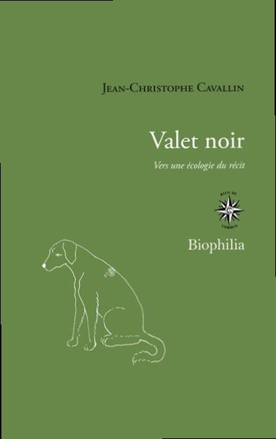 Valet noir. Vers une écologie du récit