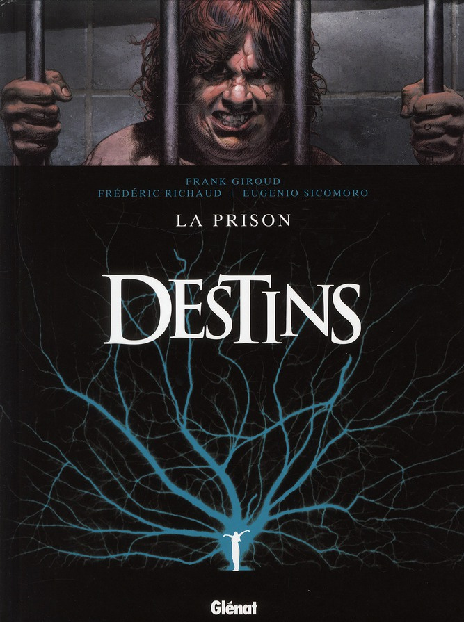 Destins Tome 12 : La prison