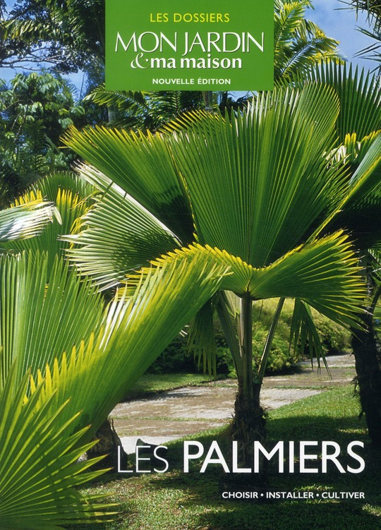 Les palmiers. Choisir, installer, cultiver
