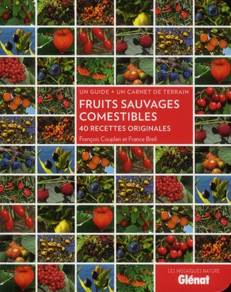 Fruits sauvages comestibles. 40 recettes originales, un guide   un carnet de terrain
