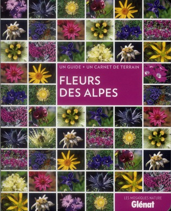 Fleurs des Alpes