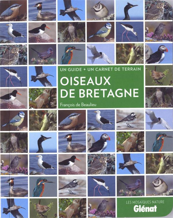 Oiseaux de Bretagne. Un guide   un carnet de terrain