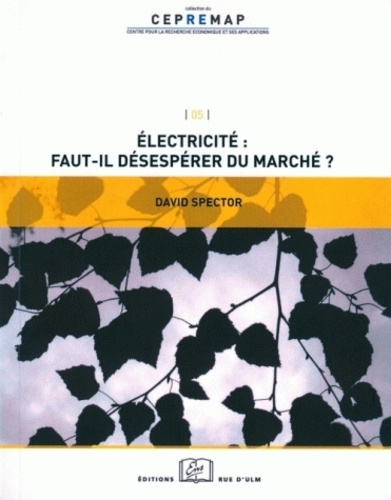 Electricité : faut-il désespérer du marché ?
