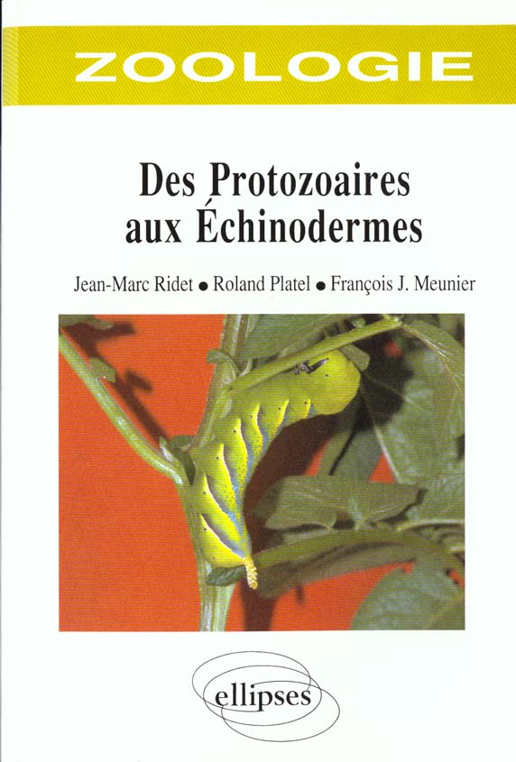 ZOOLOGIE. Des Protozoaires aux Echinodermes