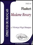 Etude sur Madame Bovary, Flaubert