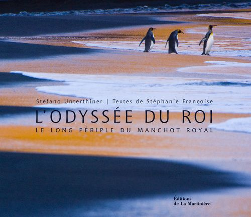 L'Odyssée du roi / Le long périple du manchot royal