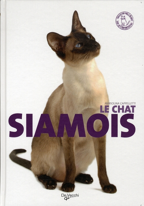 CHAT SIAMOIS (LE)