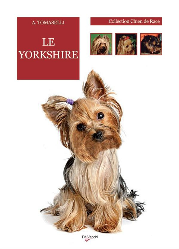 Le yorkshire terrier