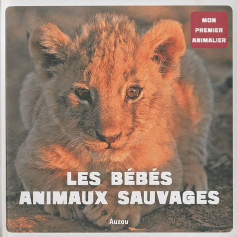 Les bébés animaux sauvages