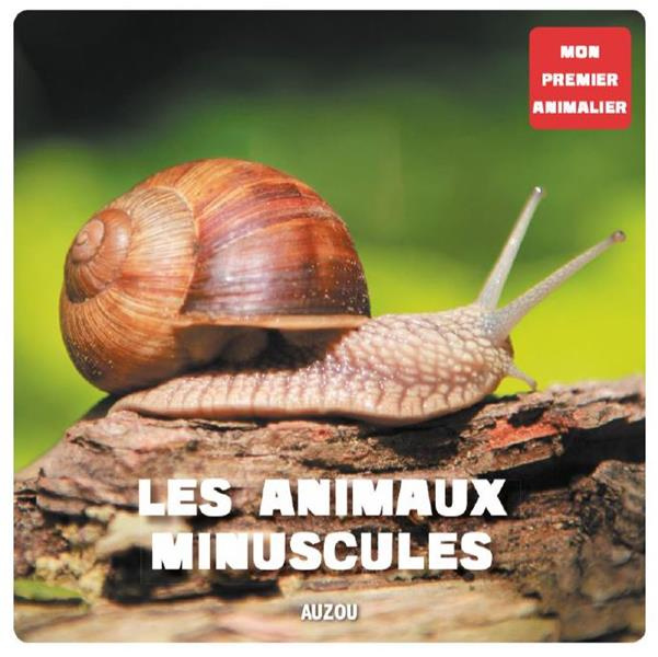 Les animaux minuscules