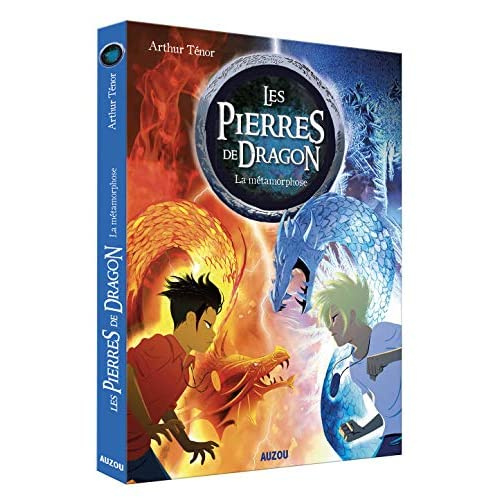 Les pierres de dragon Tome 1 : La métamorphose