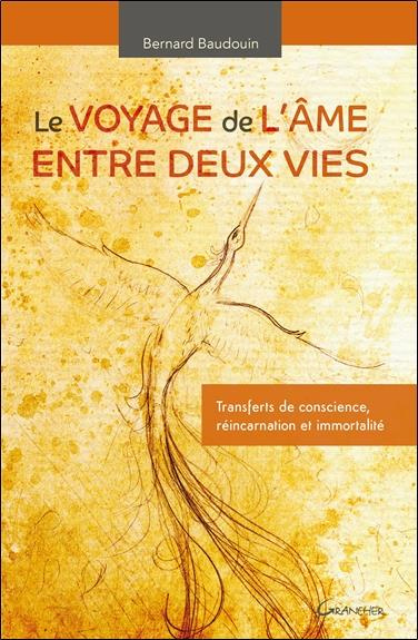 Le voyage de l'âme entre deux vies. Transferts de conscience, réincarnation et immortalité