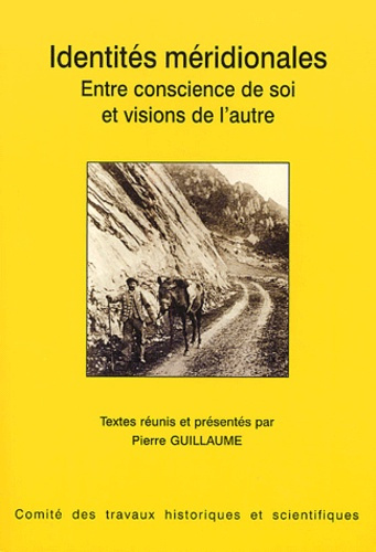 Identités méridionales. Entre conscience de soi et visions de l'autre