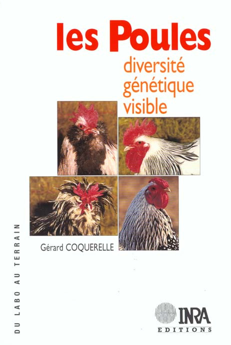 Les Poules. Diversité, génétique visible.