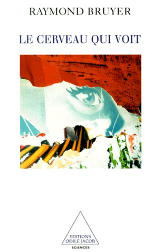 Le cerveau qui voit