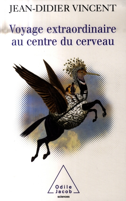 Voyage extraordinaire au centre du cerveau